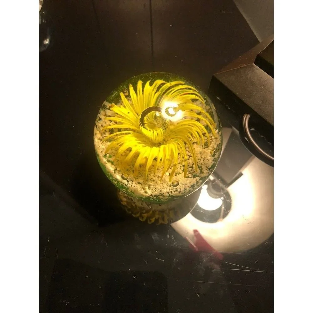 Art Glass Paperweight  ISP home - Picture 3 of 5